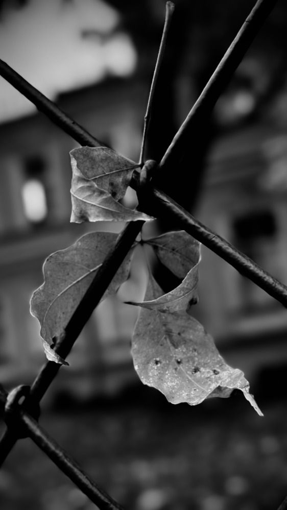 Фотография автора Alexander Solovyev