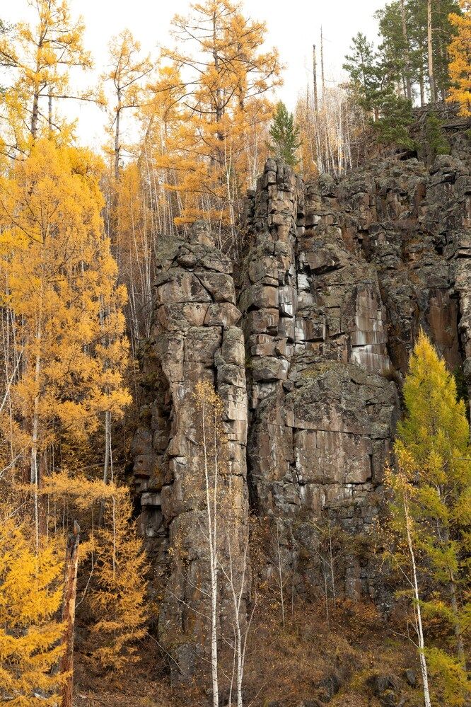 Photograph by Елена Шишкина