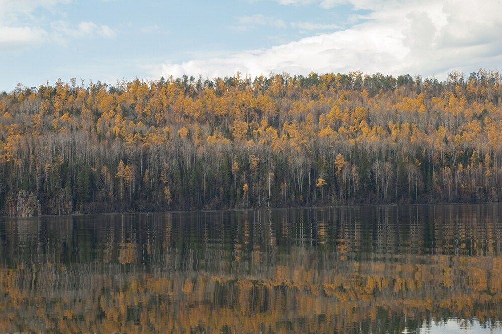 Photograph by Елена Шишкина