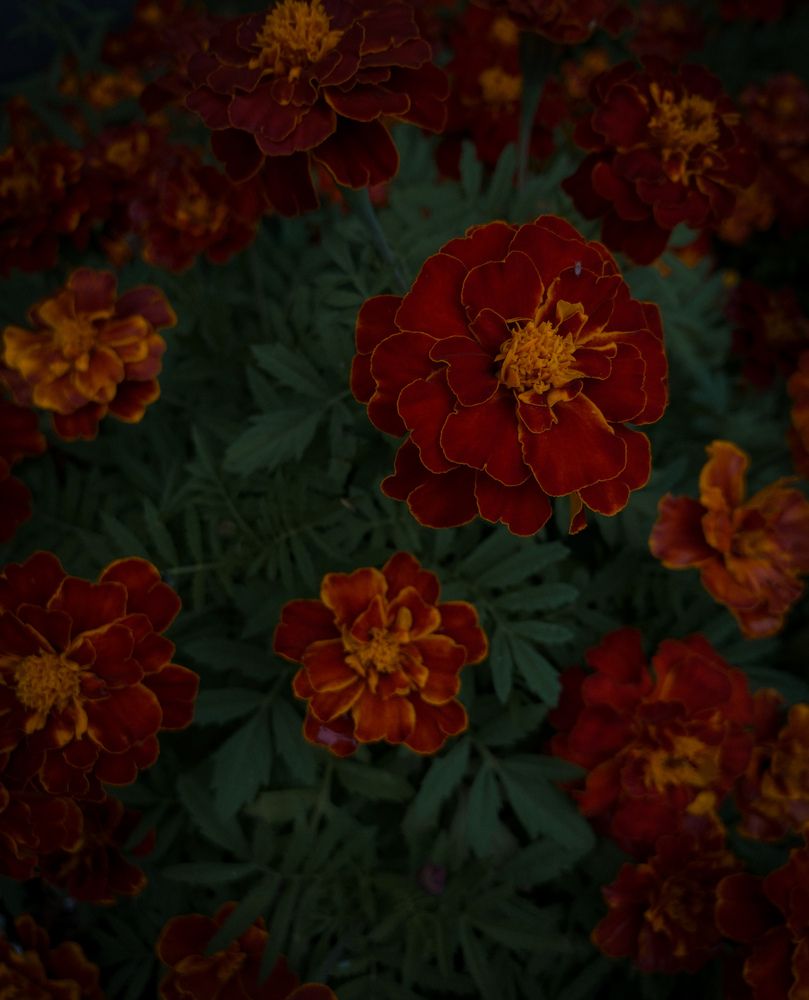 Photograph by Тамара Кучерявых