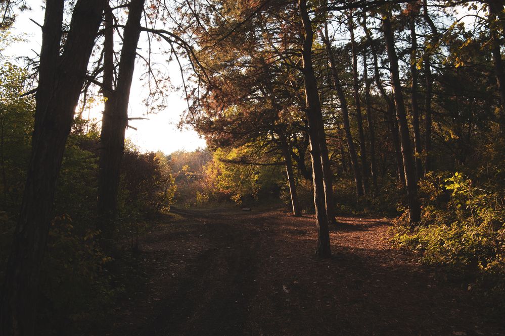 Фотография автора Пикулин Павел