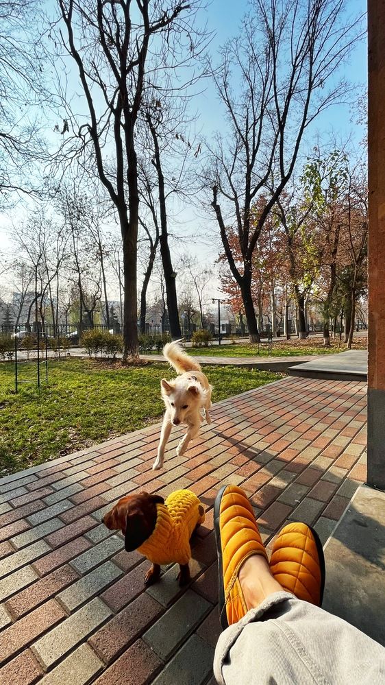 Фотография автора Владимир Эделев