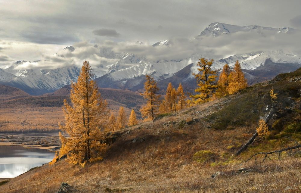 Photograph by Крат Светлана