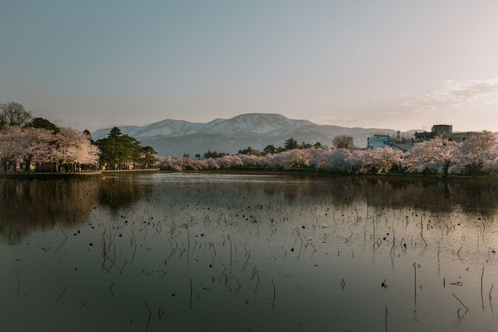 Photograph by TAMURA Kenta