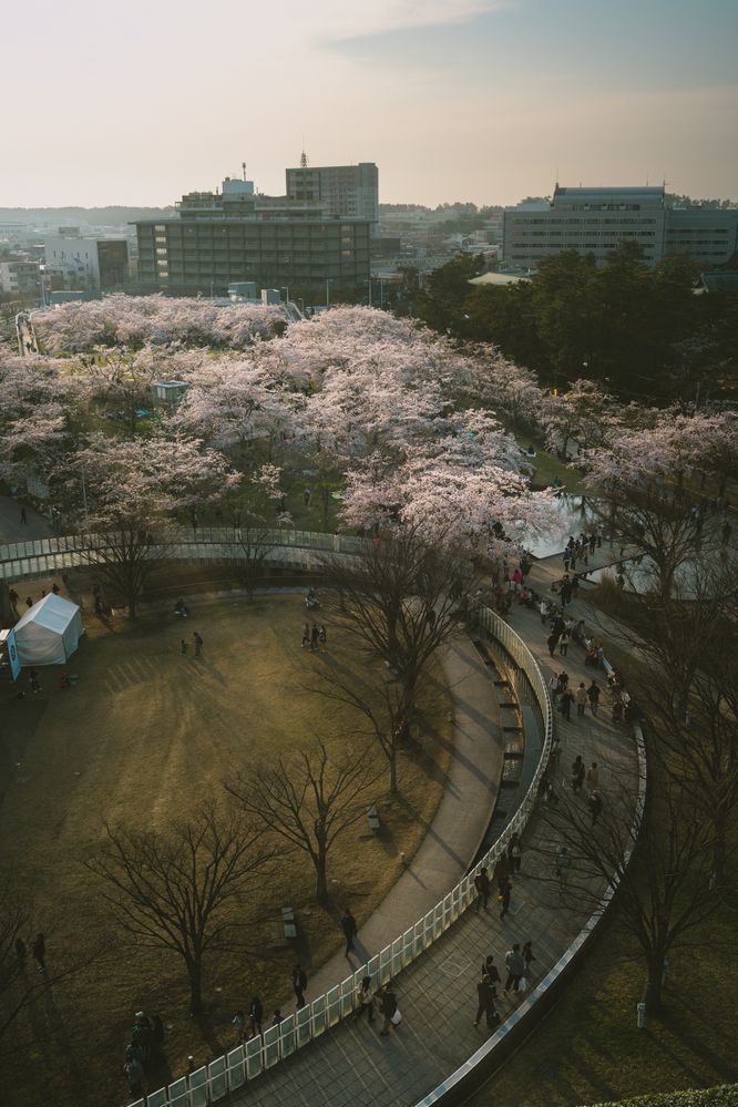 Photograph by TAMURA Kenta