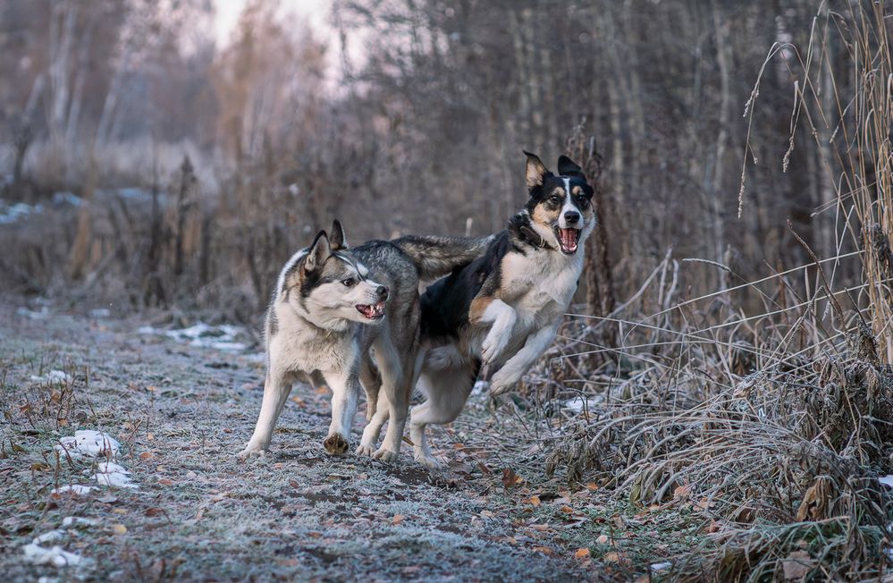 Photograph by Ольга Ченцова
