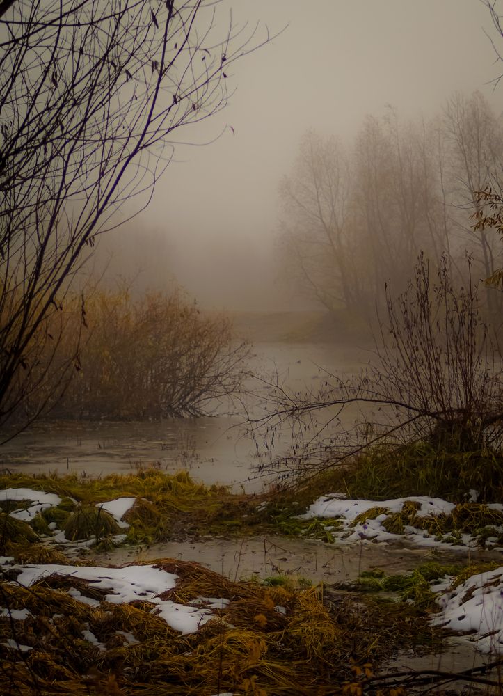 Photograph by Юрий Остапенко