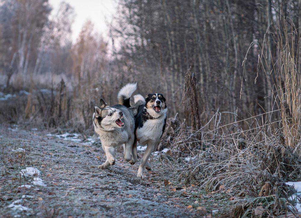 Photograph by Ольга Ченцова