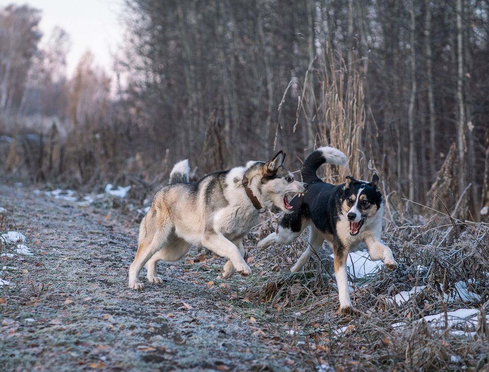 Photograph by Ольга Ченцова