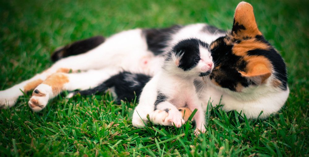 Photograph by Нели Арнаудова