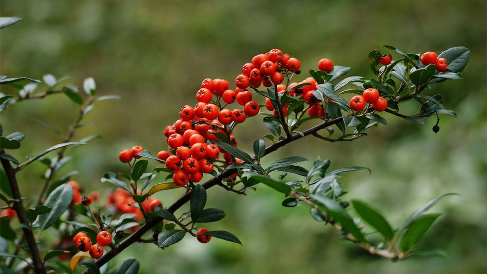 К зиме готовы