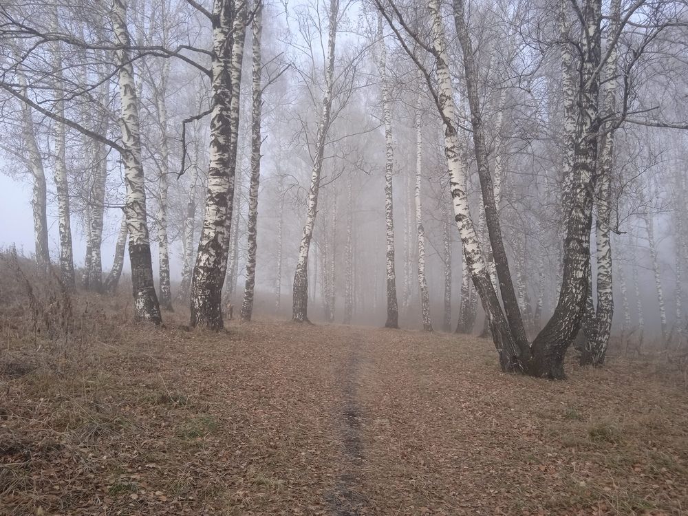 Photograph by Наталья Сорокина