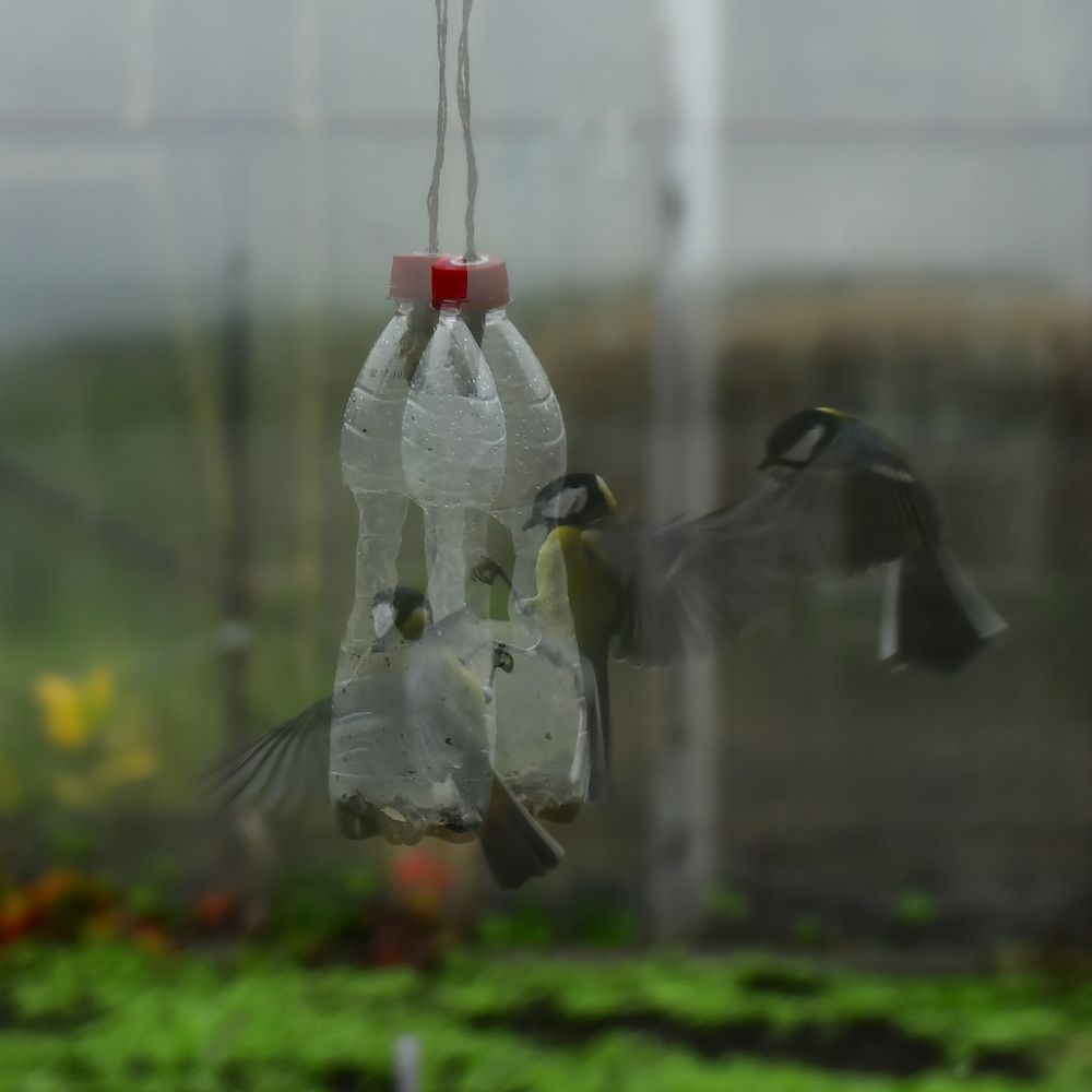 Photograph by Николай Абакумов