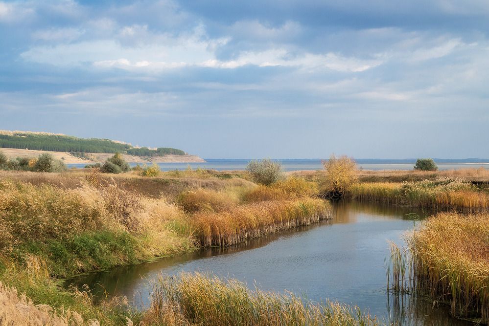 Photograph by Владислав Никишин