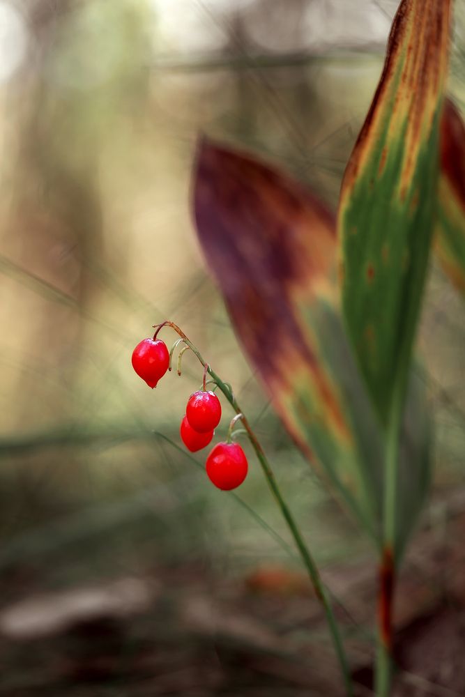 Photograph by Завьялова Людмила!