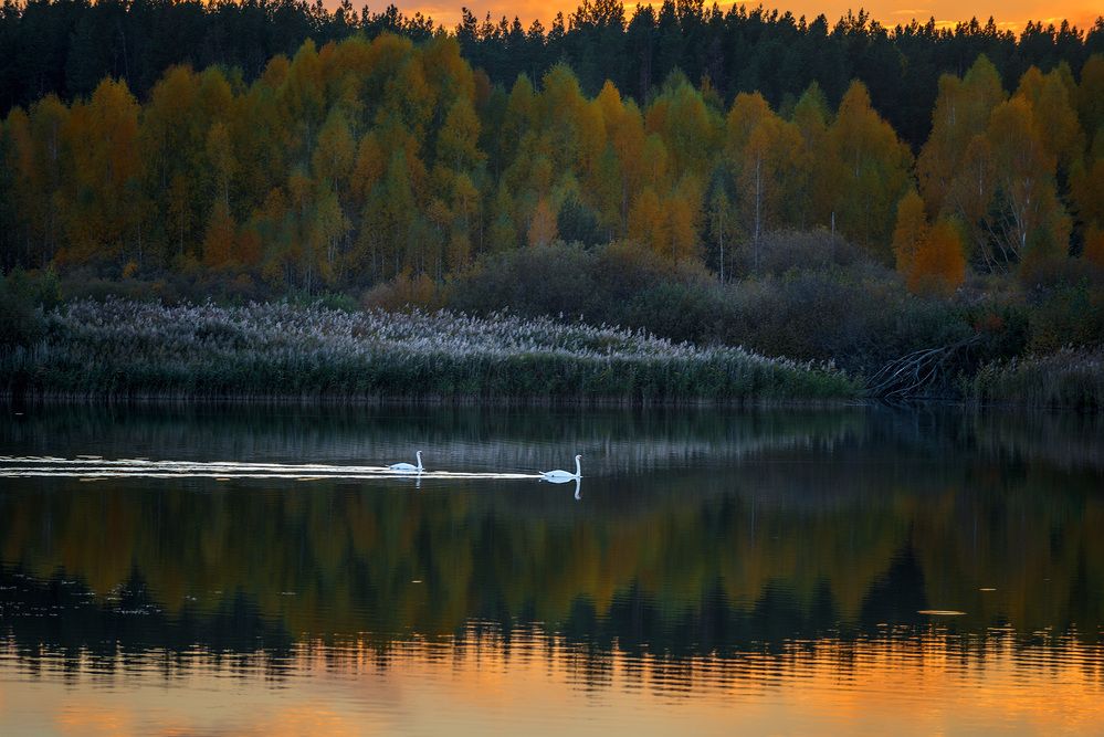 Photograph by Владислав Никишин