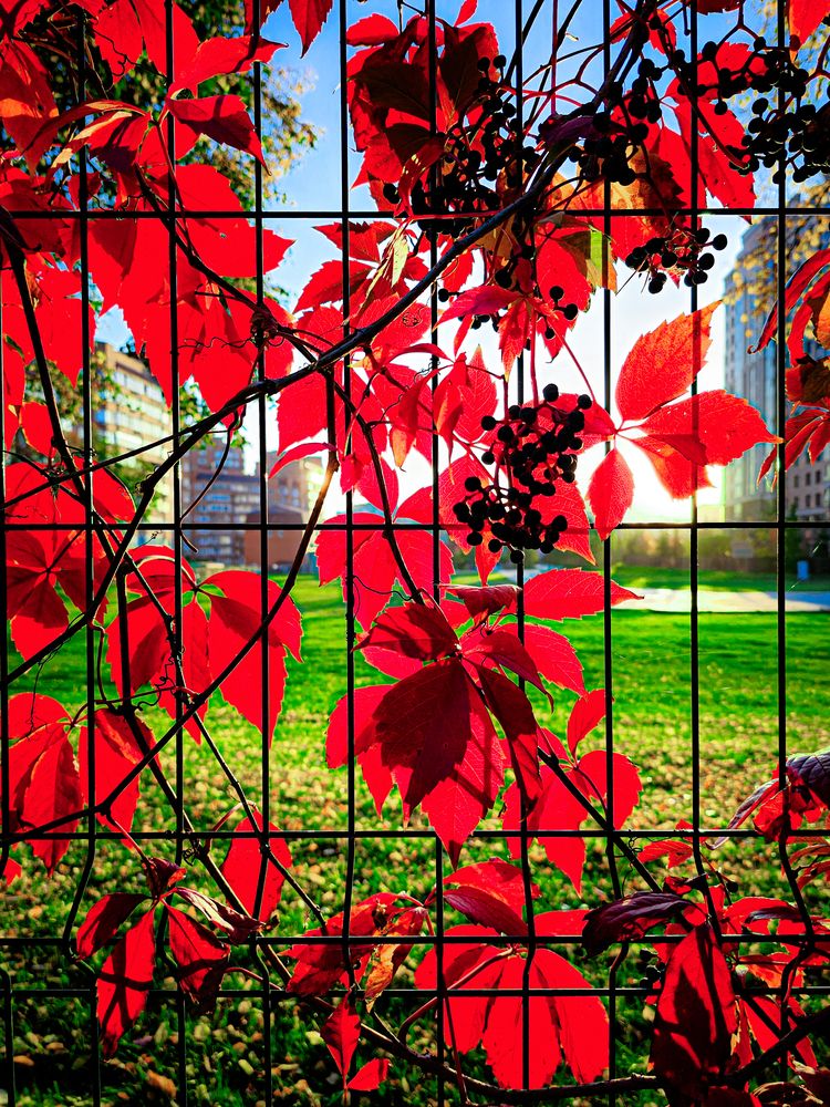 Photograph by Сергей Кесаев