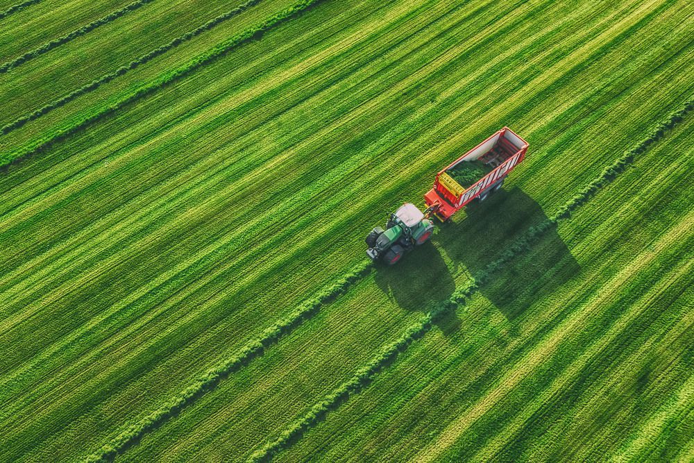 Photograph by Guy Krier