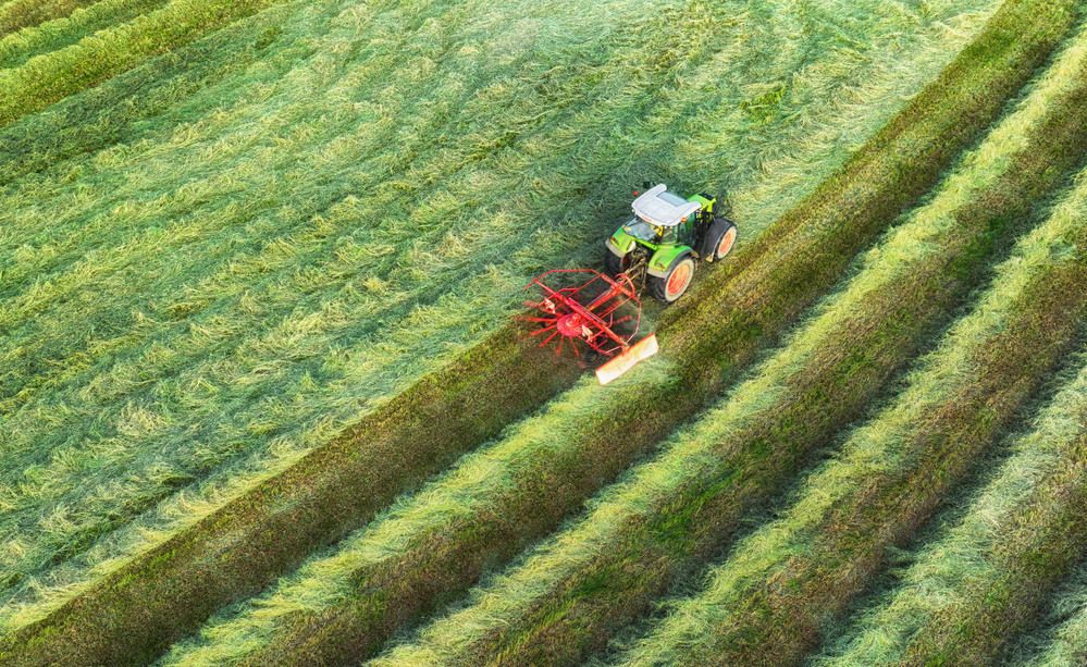 Photograph by Guy Krier