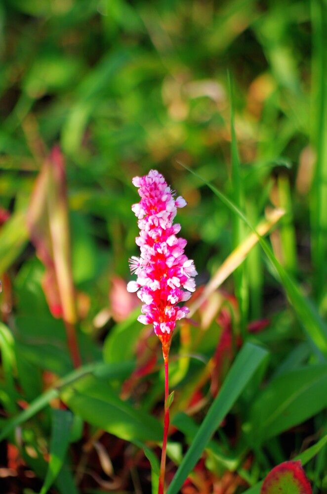 Photograph by Михаил Обертаев