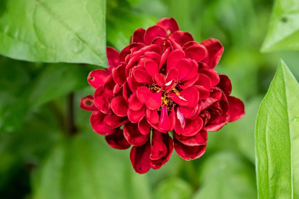 Photograph by Юрий Десятов