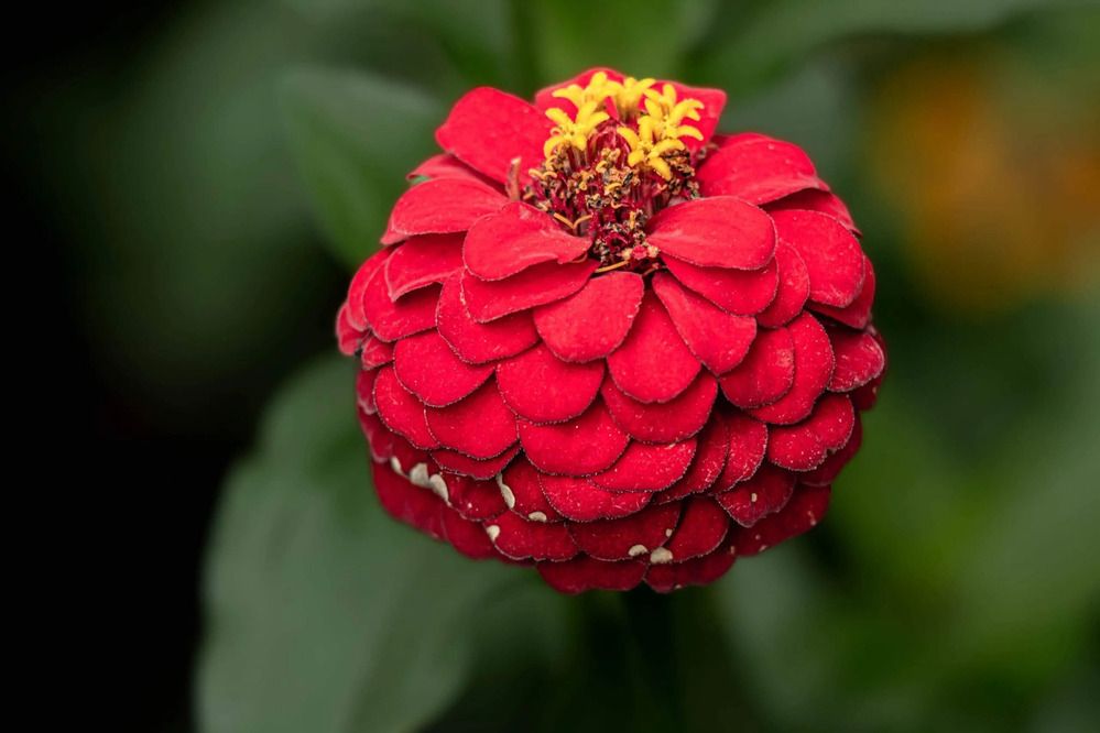 Photograph by Юрий Десятов