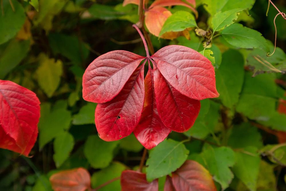 Photograph by Юрий Десятов