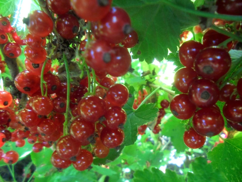 Photograph by Лилия Исхакова