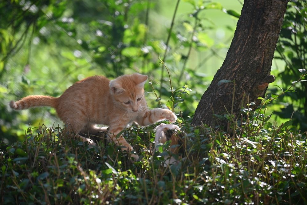 Photograph by Ljiljana Nedeljković