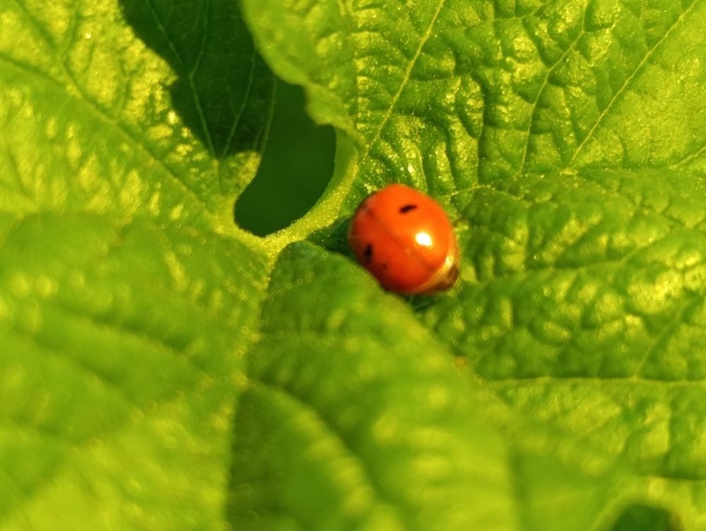 Photograph by Ирина Сидорова