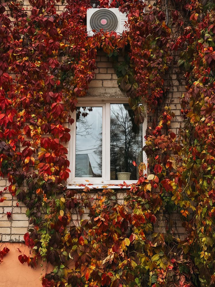 Photograph by Регина Габдулхаева