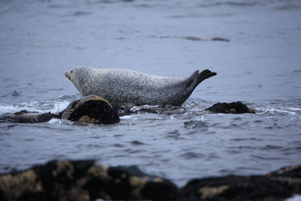 Photograph by Андрей Головин