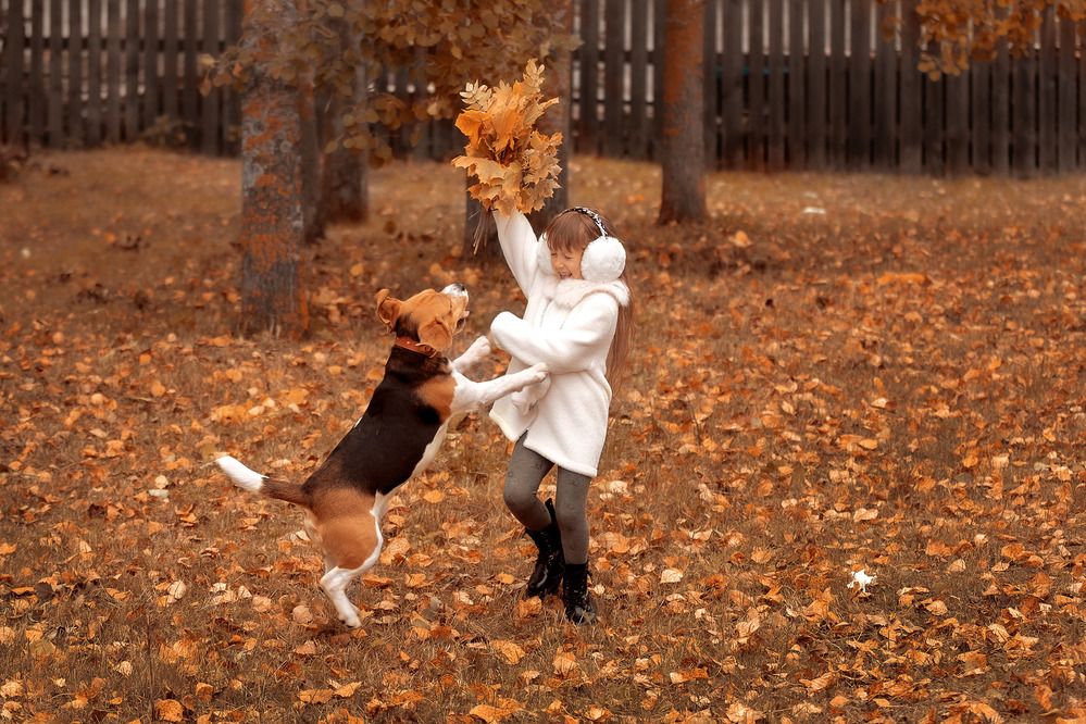 Photograph by Наталья Дунаевская