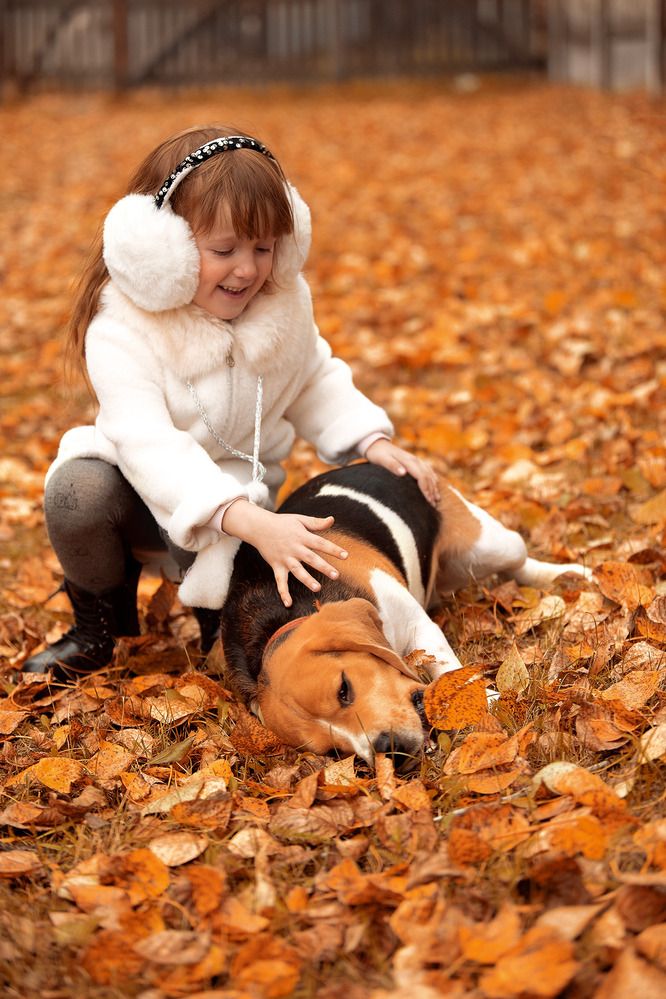 Photograph by Наталья Дунаевская