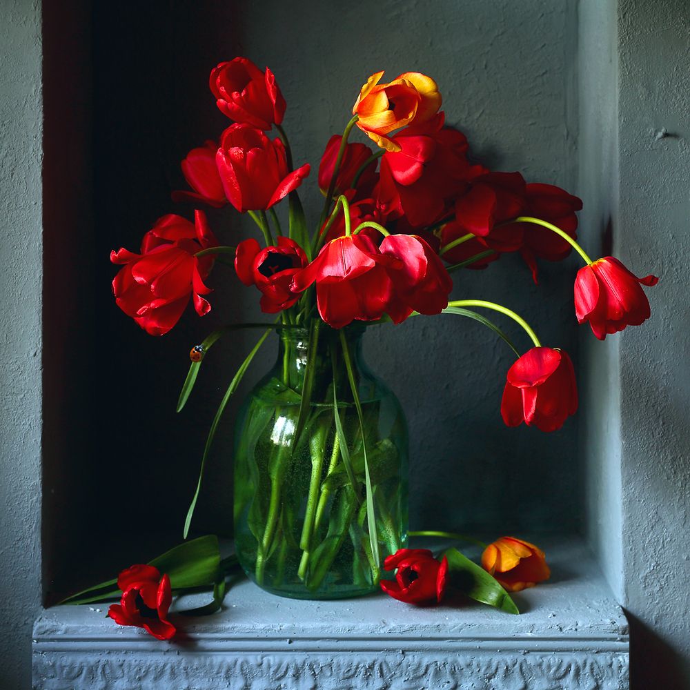 Тюльпаны - весны привет