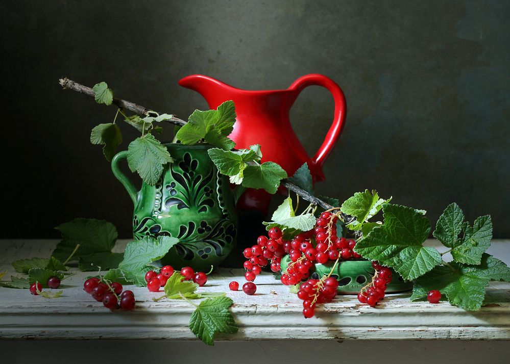 Ветка красной смородины