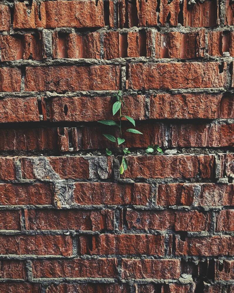 Photograph by Наталья Смирнова