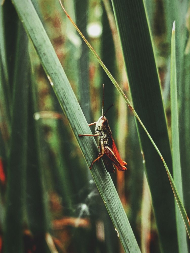 Photograph by Наталья Смирнова