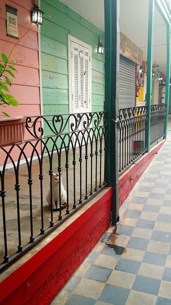 Photograph by Rosane Cortez