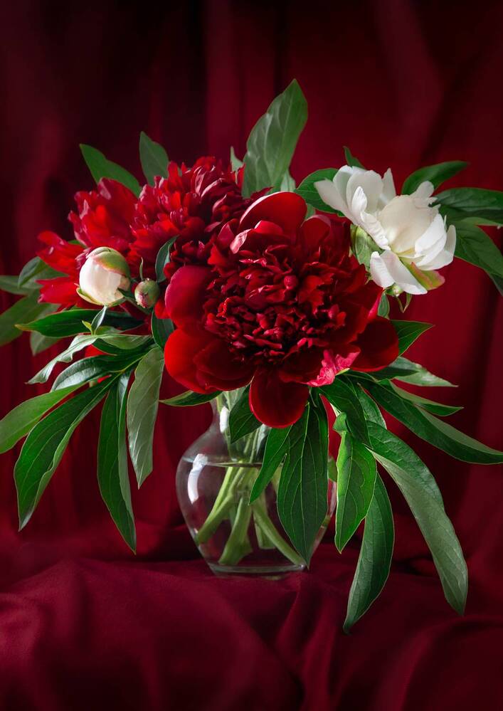 Photograph by Екатерина Родченкова