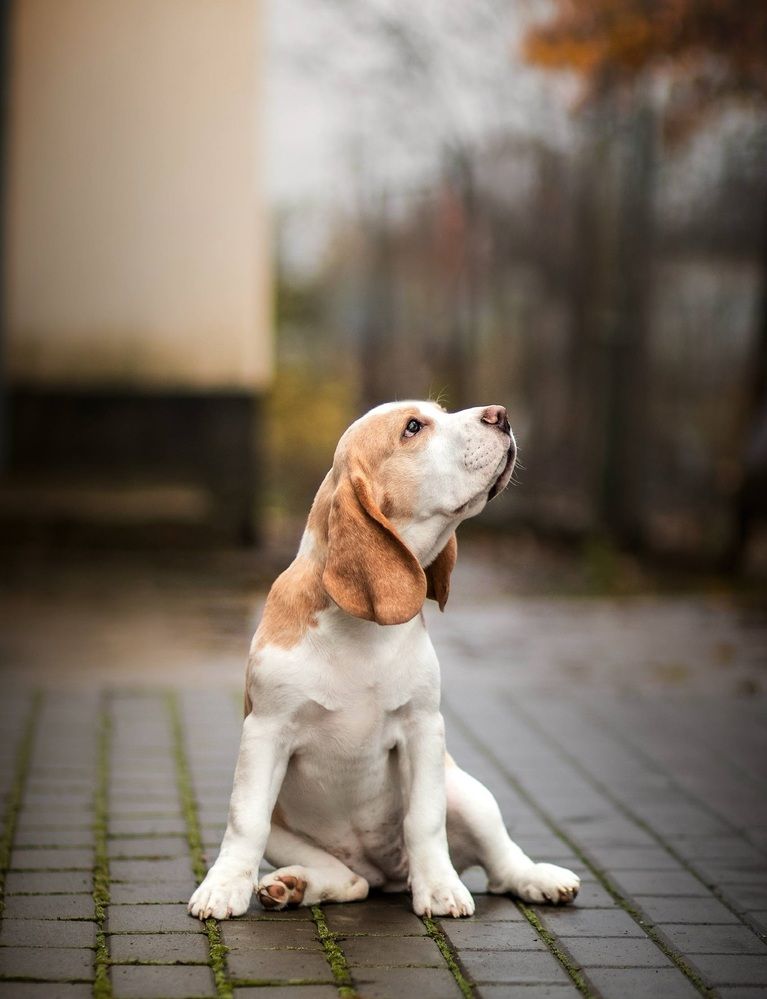 Фотография автора Виктория Лисякова