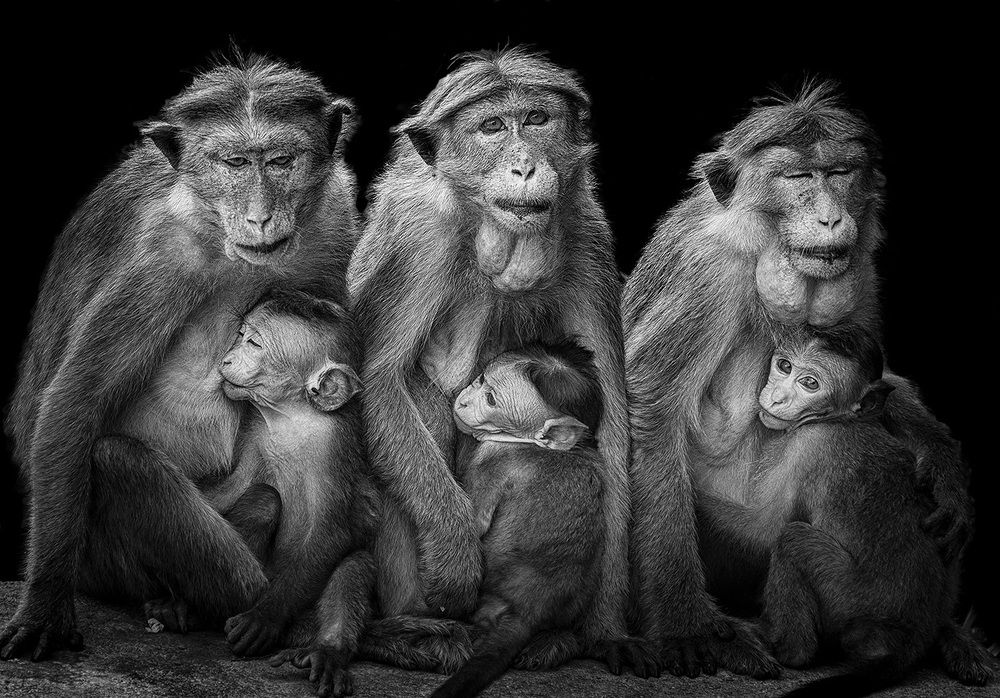 Equal Rhythm of Love