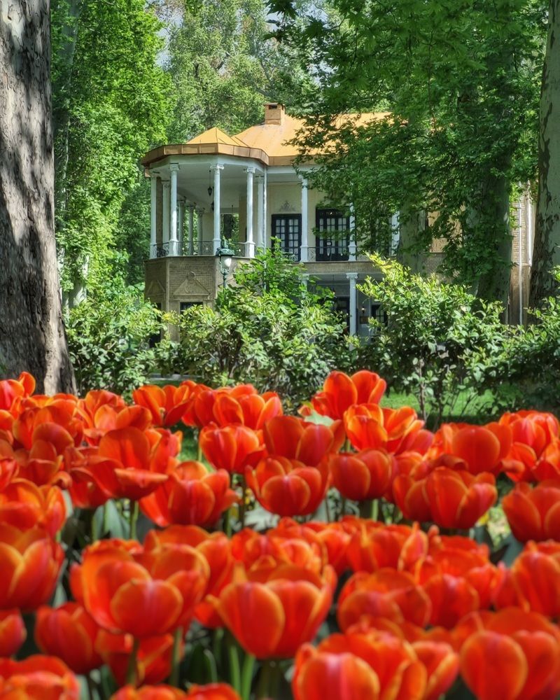 Фотография автора Zahra Seyedmorti