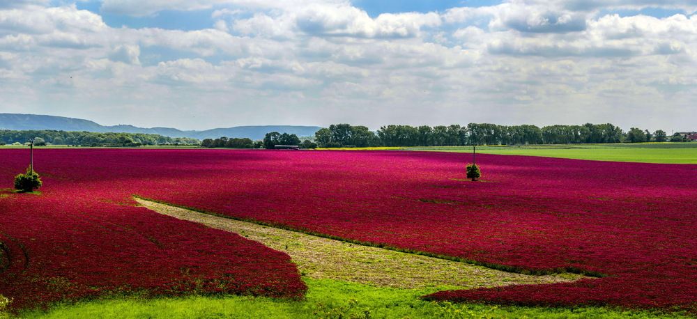 Photograph by Валерий Смирнов