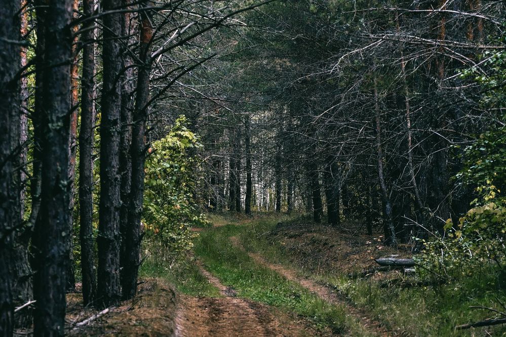 Photograph by Вячеслав Ладанов