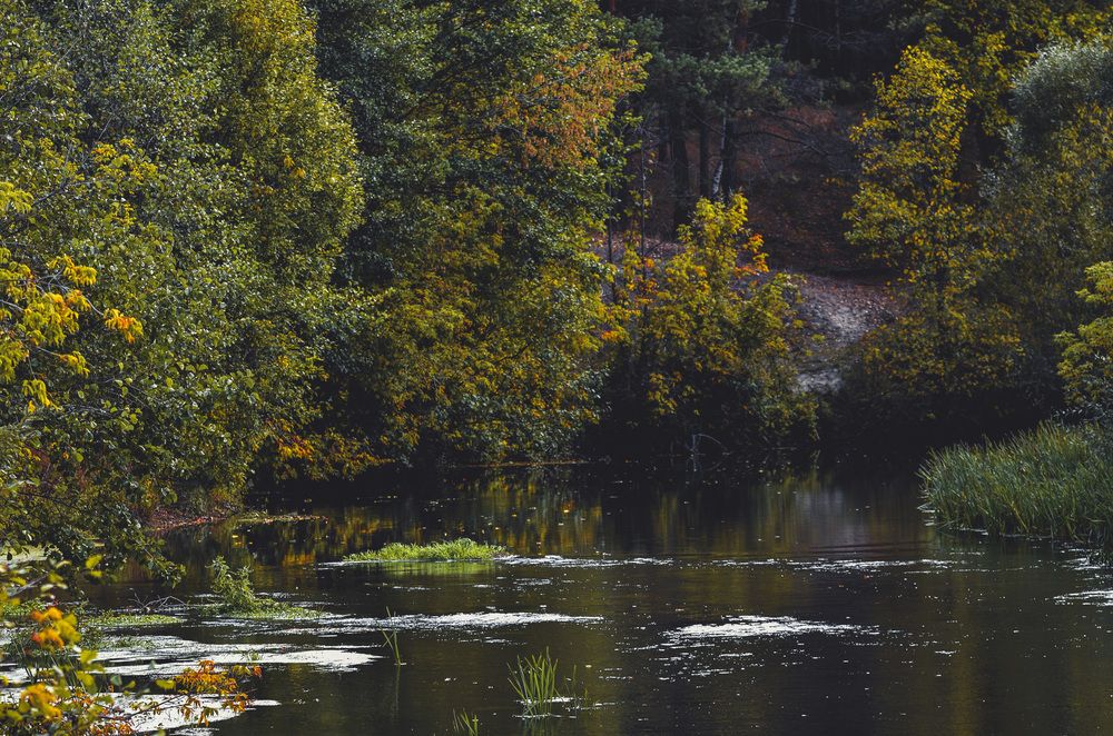 Photograph by Вячеслав Ладанов