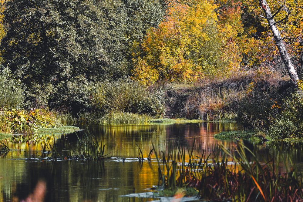 Photograph by Вячеслав Ладанов