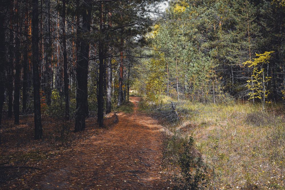 Photograph by Вячеслав Ладанов