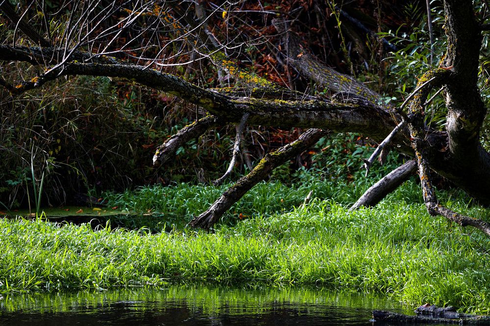 Photograph by Вячеслав Ладанов