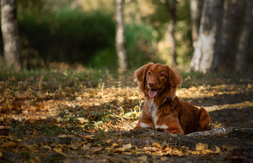 Photograph by Варя Тихонова